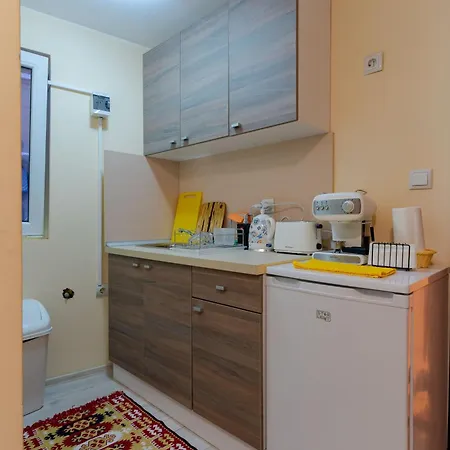 Aleko Center Apartment *
