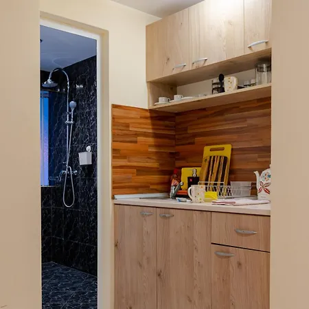 Aleko Center Apartment *