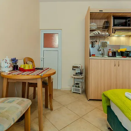 Apartment Aleko Center *