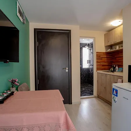 Apartment Aleko Center