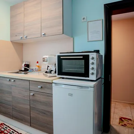 Aleko Center Apartment