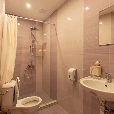 Aleko Center Lägenhet Veliko Tărnovo